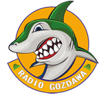 Radio Gozdawa