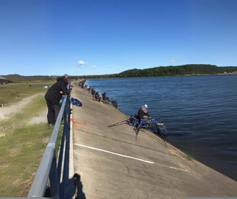 Feederowe Grand Prix Polski 2022–2024: Kluczowe lokalizacje, sezony i analiza najlepszych zawodników