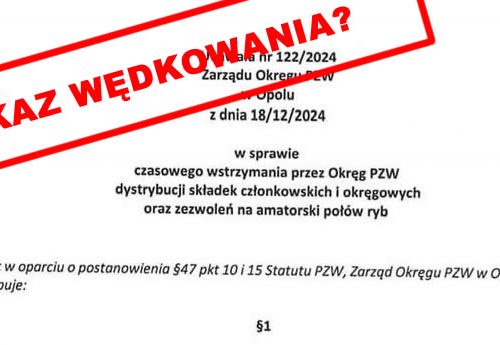 Zarząd PZW wstrzymuje sprzedaż zezwoleń na połów ryb – co dalej z wędkowaniem?