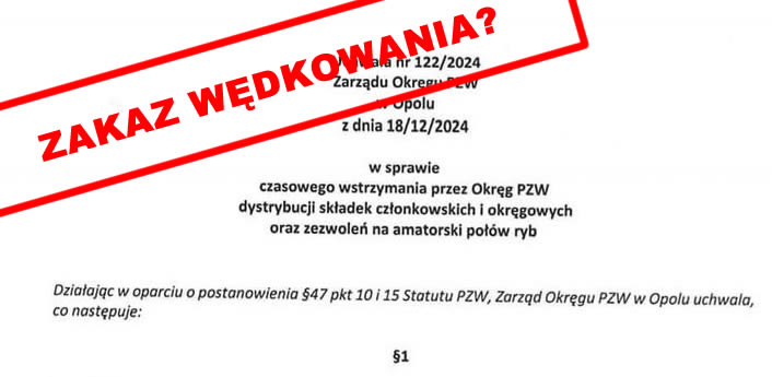 Zarząd PZW wstrzymuje sprzedaż zezwoleń na połów ryb – co dalej z wędkowaniem?