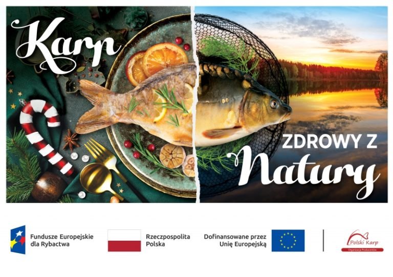 Karp – Tradycja, Smak i Świąteczne Przysmaki: Polacy wciąż wierni tej rybie!