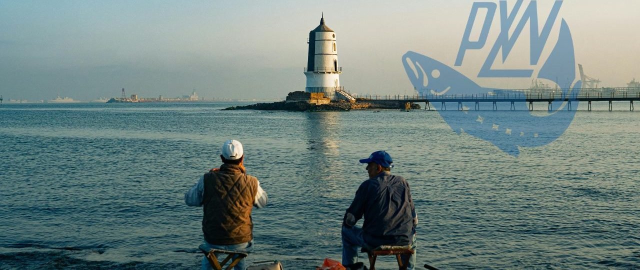 Czy PZW dryfuje na mieliznę? Problemy budżetowe i malejące szeregi wędkarzy