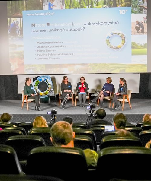 Renaturyzacja rzek w Polsce – ambitne plany Wód Polskich w ramach unijnej strategii bioróżnorodności