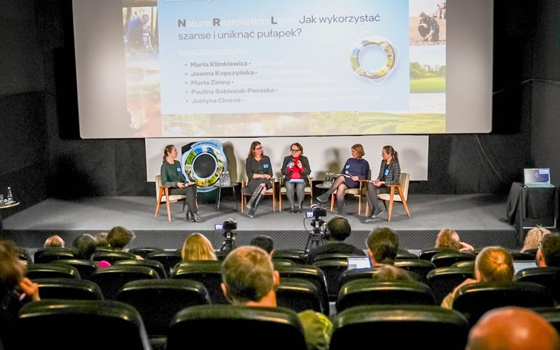 Renaturyzacja rzek w Polsce – ambitne plany Wód Polskich w ramach unijnej strategii bioróżnorodności