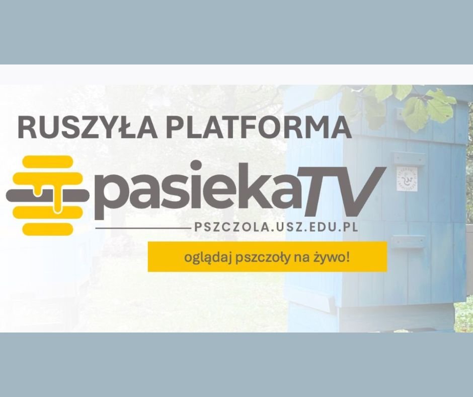 PASIEKA TV – zobacz życie pszczół na żywo! Uniwersytet Szczeciński uruchomił nowoczesną platformę online