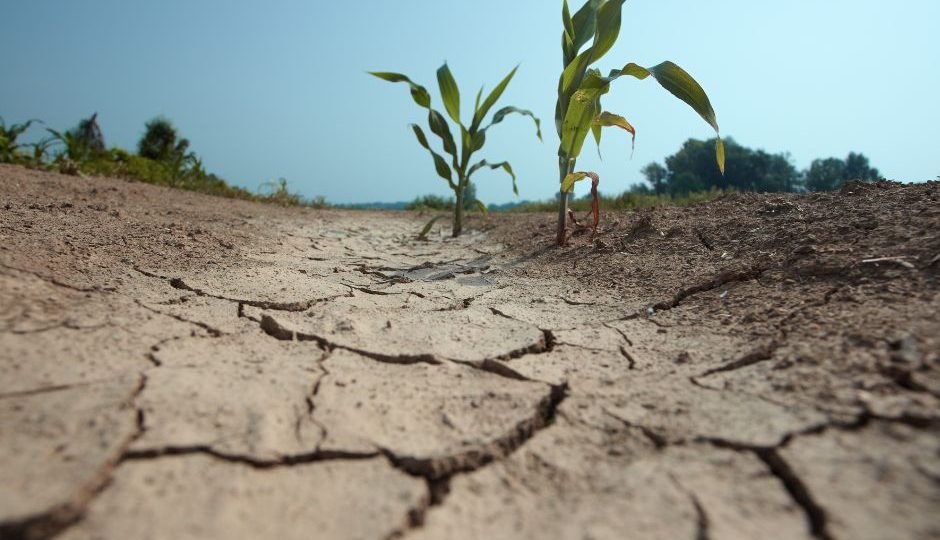 Polska w stanie permanentnej suszy? Naukowcy biją na alarm