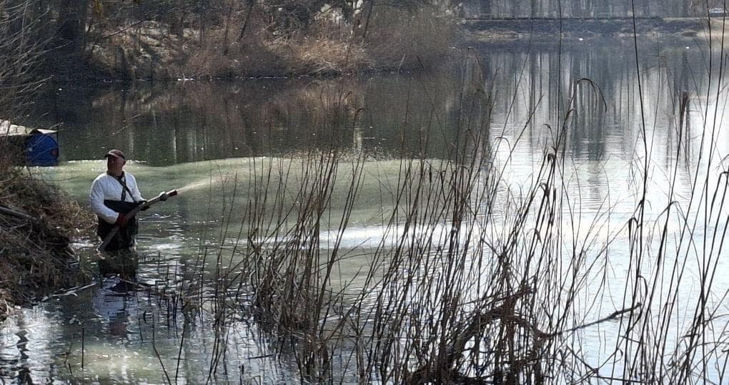 Oczyszczanie Jeziora Pawłowickiego za pomocą glinki bentonitowej – jak to działa?