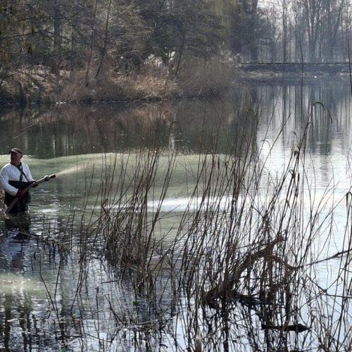 Oczyszczanie Jeziora Pawłowickiego za pomocą glinki bentonitowej – jak to działa?