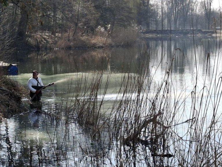 Oczyszczanie Jeziora Pawłowickiego za pomocą glinki bentonitowej – jak to działa?