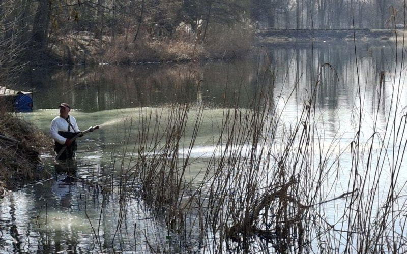 Oczyszczanie Jeziora Pawłowickiego za pomocą glinki bentonitowej – jak to działa?