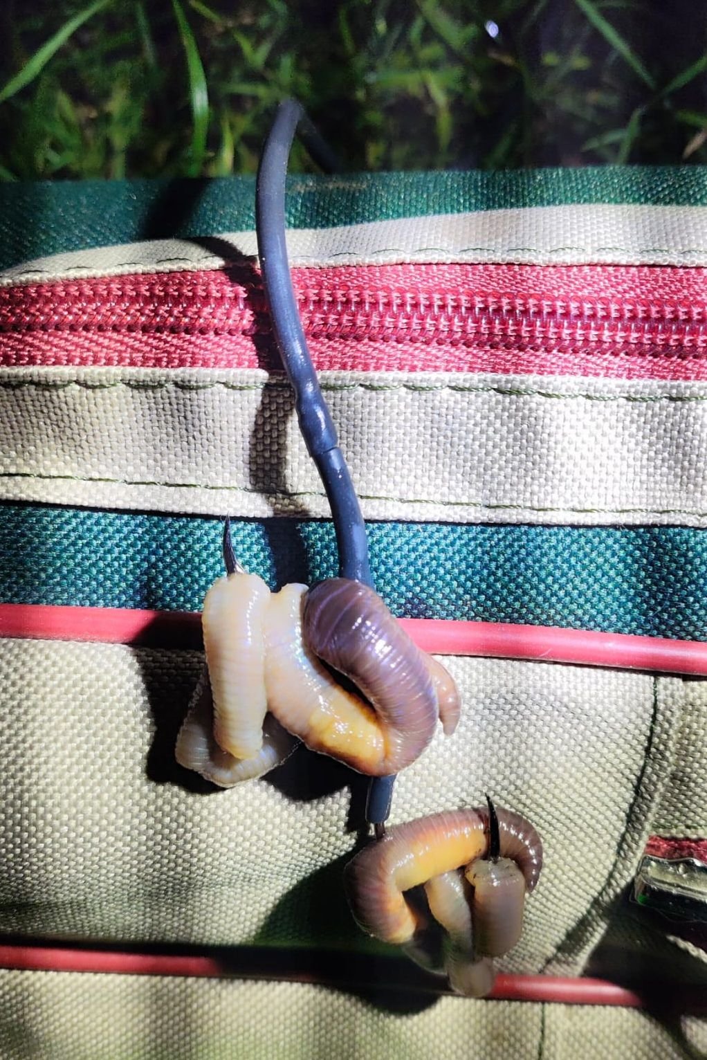 Kłusownik zatrzymany, ale… burza w komentarzach. Straż rybacka w ogniu pytań i wątpliwości