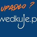 Tajemnicze zamknięcie portalu wedkuje.pl – co się stało z popularnym miejscem spotkań wędkarzy?