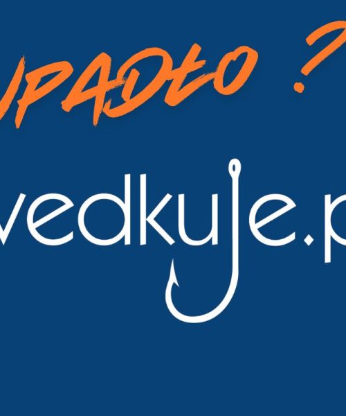 Tajemnicze zamknięcie portalu wedkuje.pl – co się stało z popularnym miejscem spotkań wędkarzy?