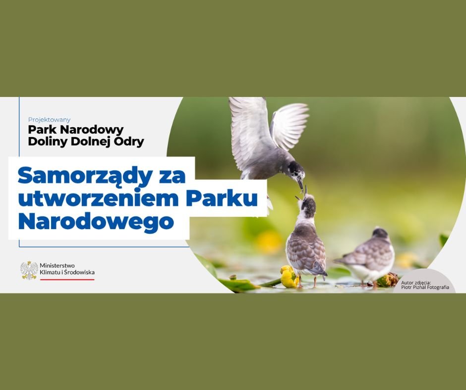 Nowy Park Narodowy po 24 latach. Dolina Dolnej Odry na ostatniej prostej