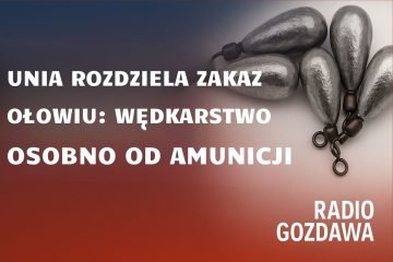 Unia rozdziela zakaz ołowiu: wędkarstwo osobno od amunicji