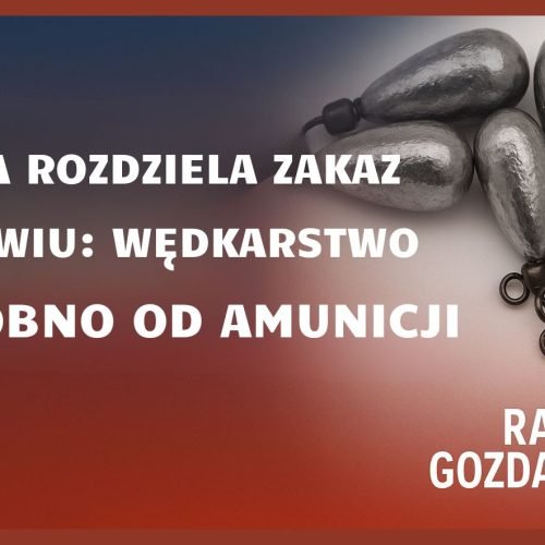 Unia rozdziela zakaz ołowiu: wędkarstwo osobno od amunicji