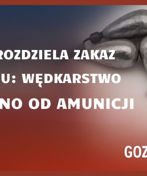 Unia rozdziela zakaz ołowiu: wędkarstwo osobno od amunicji