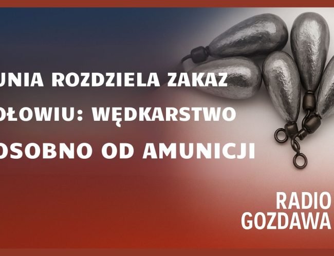 Unia rozdziela zakaz ołowiu: wędkarstwo osobno od amunicji
