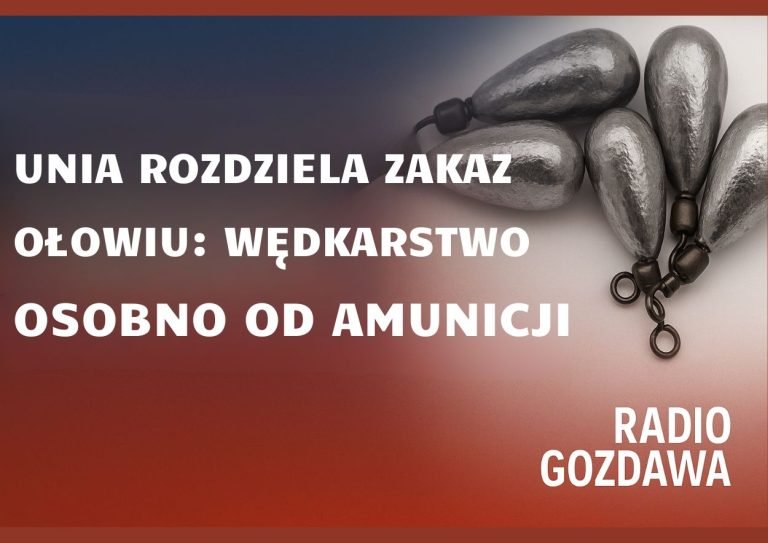 Unia rozdziela zakaz ołowiu: wędkarstwo osobno od amunicji