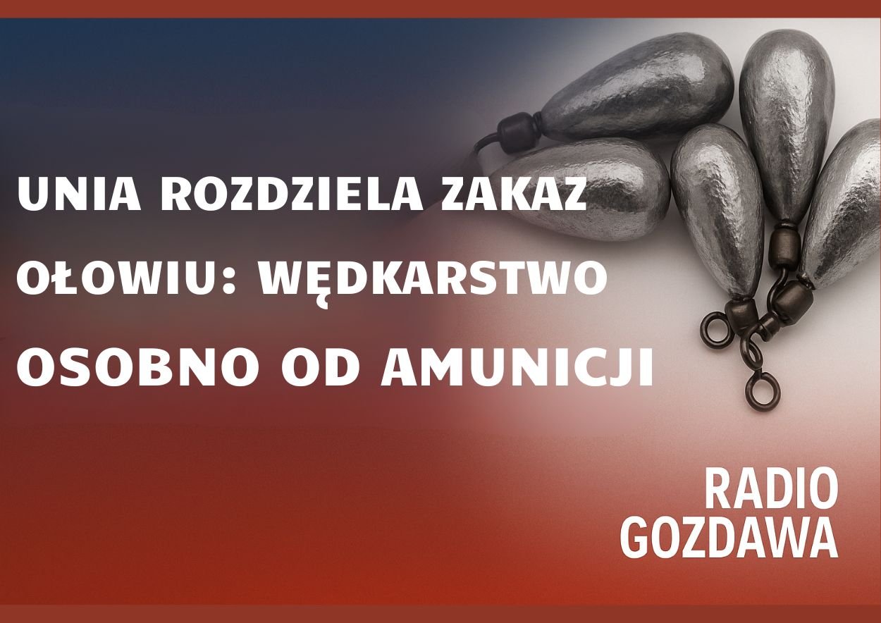 Unia rozdziela zakaz ołowiu: wędkarstwo osobno od amunicji