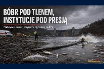 Bóbr pod tlenem, instytucje pod presją