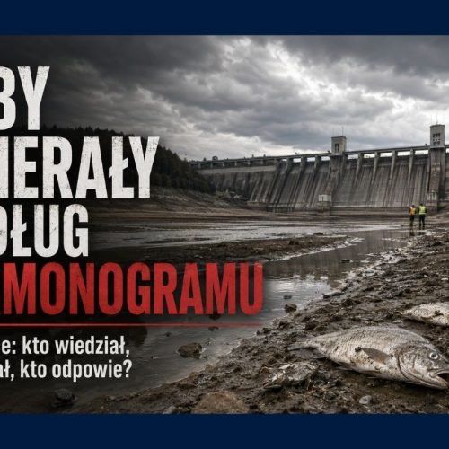 Pilchowice: ryby umierały według harmonogramu