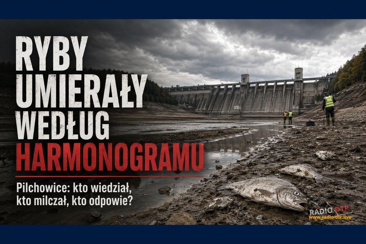 Pilchowice: ryby umierały według harmonogramu